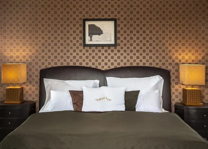 Hotel Erla Boutique 4*